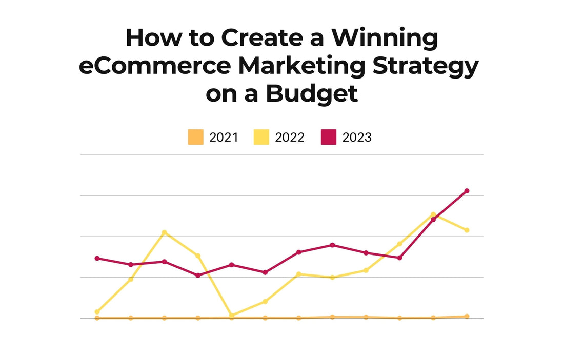 How to Create a Winning eCommerce Marketing Strategy on a Budget